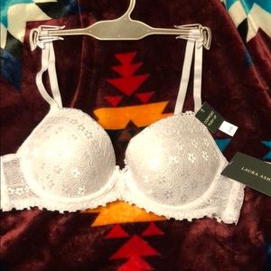 Laura Ashley bra size 34b